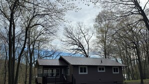 A cabin with a metal roof, surrounded by trees, and a small deck. - Charming 2-bedroom cottage with WiFi, AC on quiet lake on trails with kayaks. (Birchwood)