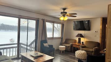 Smart TV, books, computer monitors