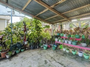 A covered outdoor area with various potted plants and a wooden structure.