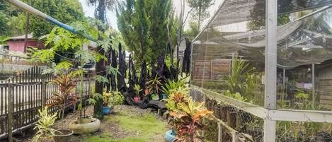 A garden with a variety of plants, a wooden fence, and a sign indicating a name.