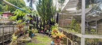 OYO Homes 91148 Homesstay Desa Wisata Bahoi
