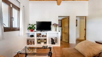 TV, fireplace, stereo