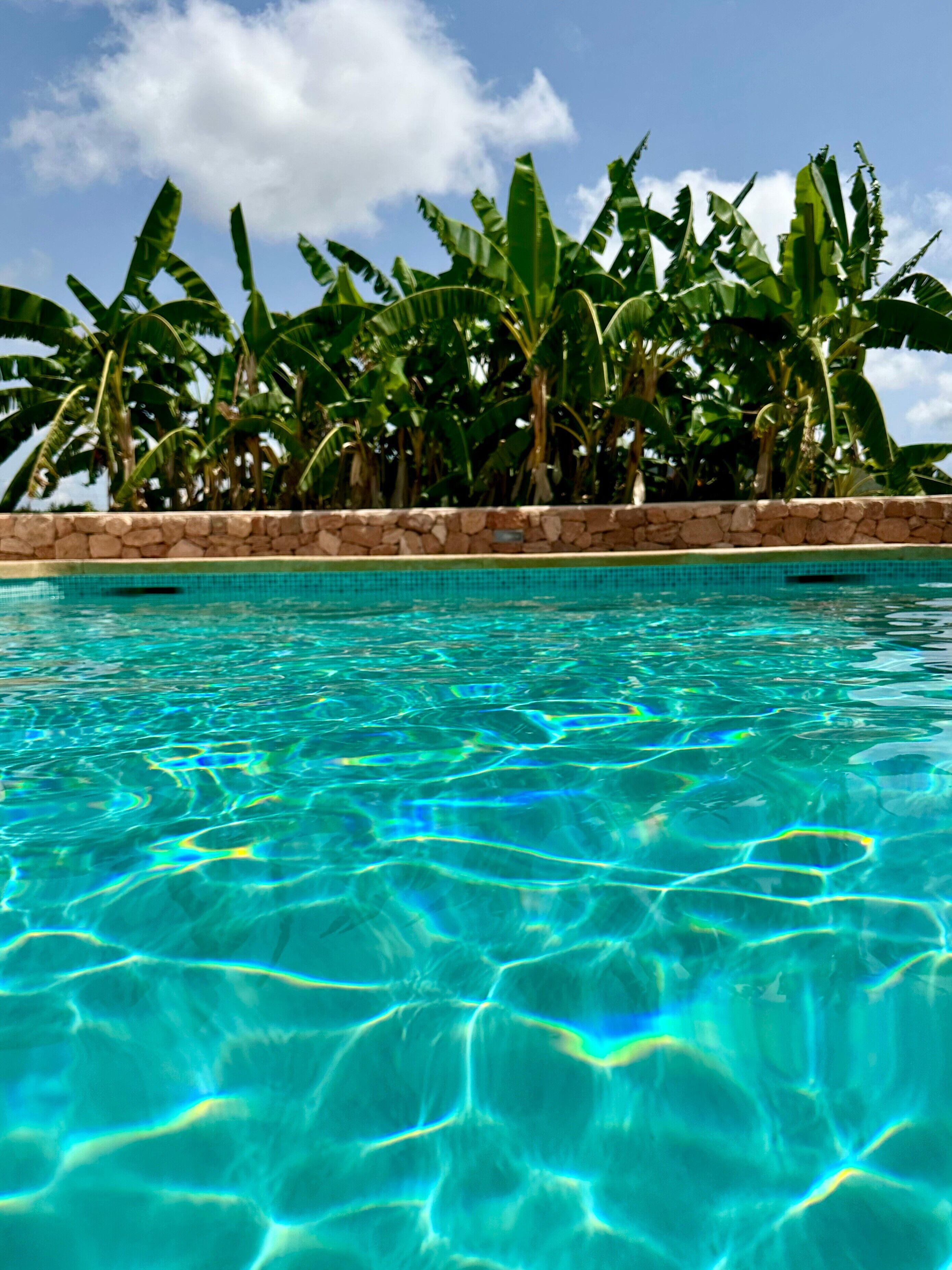 Une piscine aux eaux limpides où se reflètent les environs, bordée de bananiers luxuriants et entourée d’un mur de pierre.