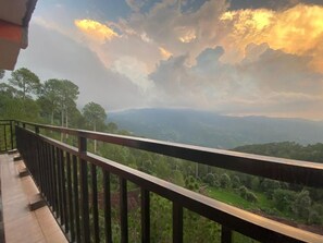 Dobbeltrom – deluxe | Terrasse/patio