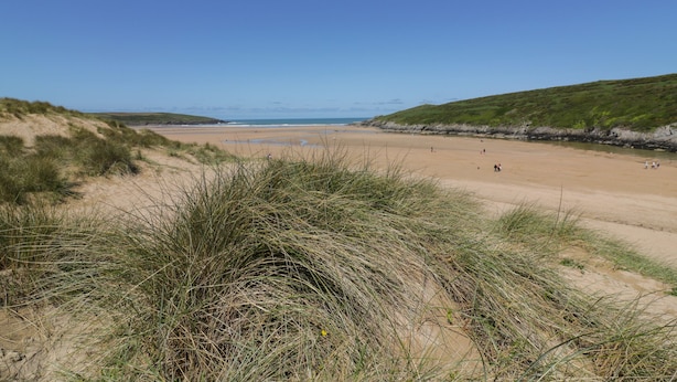 A beach with sand dunes and grassy areas.