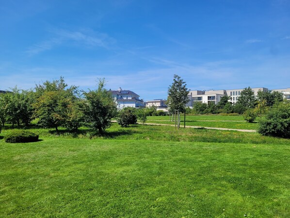 Un campo cubierto de césped con árboles y un sendero que conduce a una hilera de edificios modernos.
