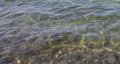 Moderne Ferienwohnung Wellenreiter - 3 Min. vom Strand entfernt