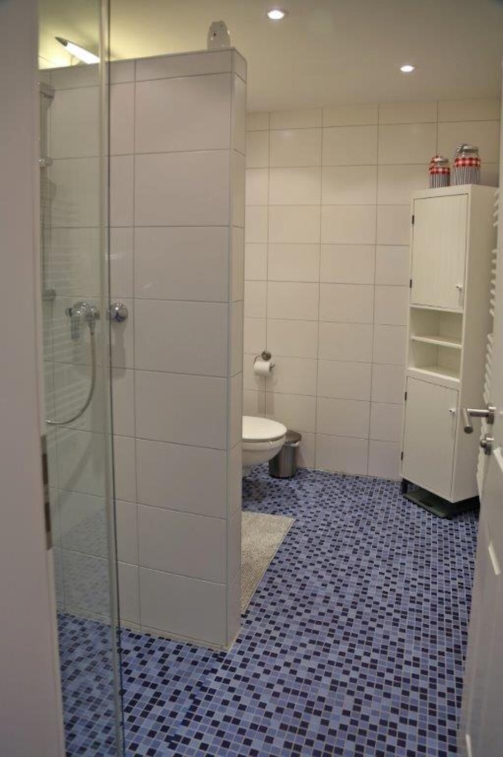 A bathroom with a glass shower enclosure, a toilet, and a cabinet with storage space.
