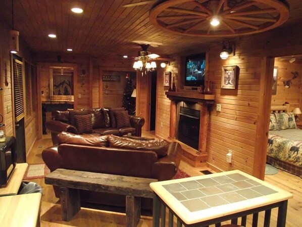 Tv, pejs, dvd-afspiller