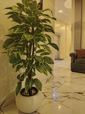 Reception - Hotel New One (Cairo)