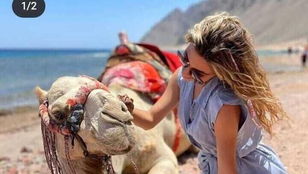 En person som klappar en kamel på en strand.