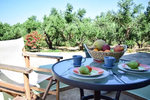 Peaceful and spacious countryside apartment. MaGea Asterias