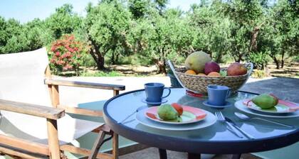 Peaceful and spacious countryside apartment. MaGea Asterias
