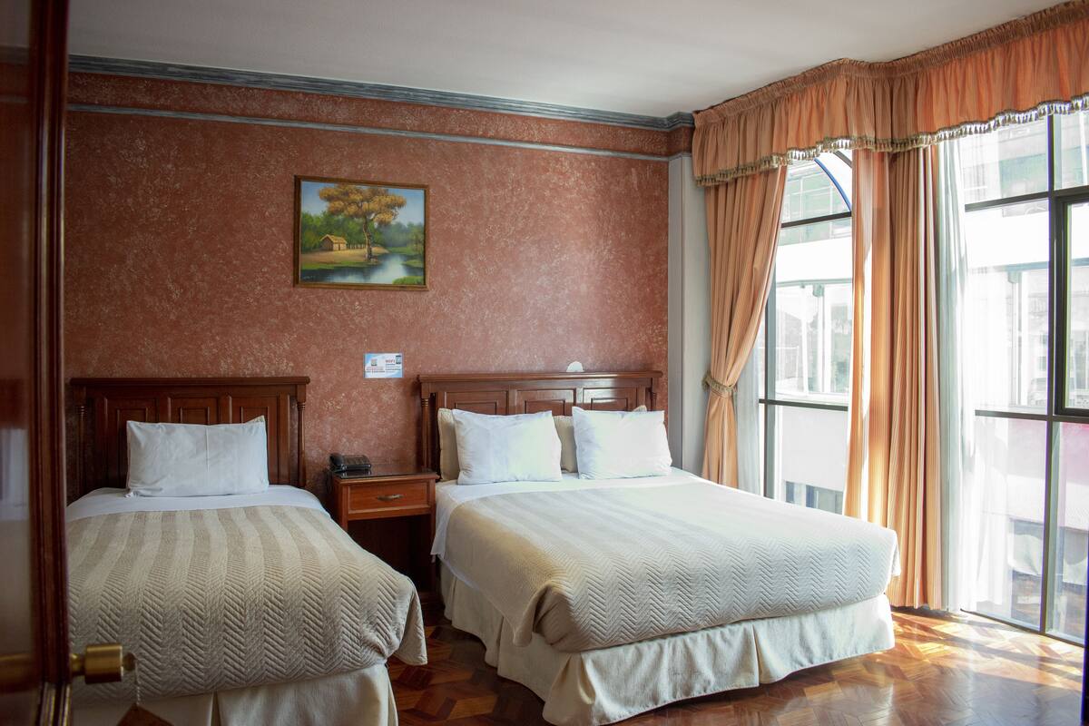 family room, 1 bedroom, city view | down duvets, free wifi, bed sheets