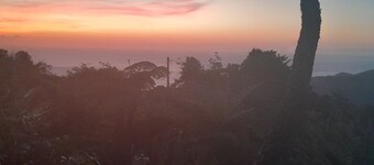 Cozy studio apartments with beautiful garden and ocean view. Self contained.