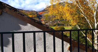 Family and central apartment