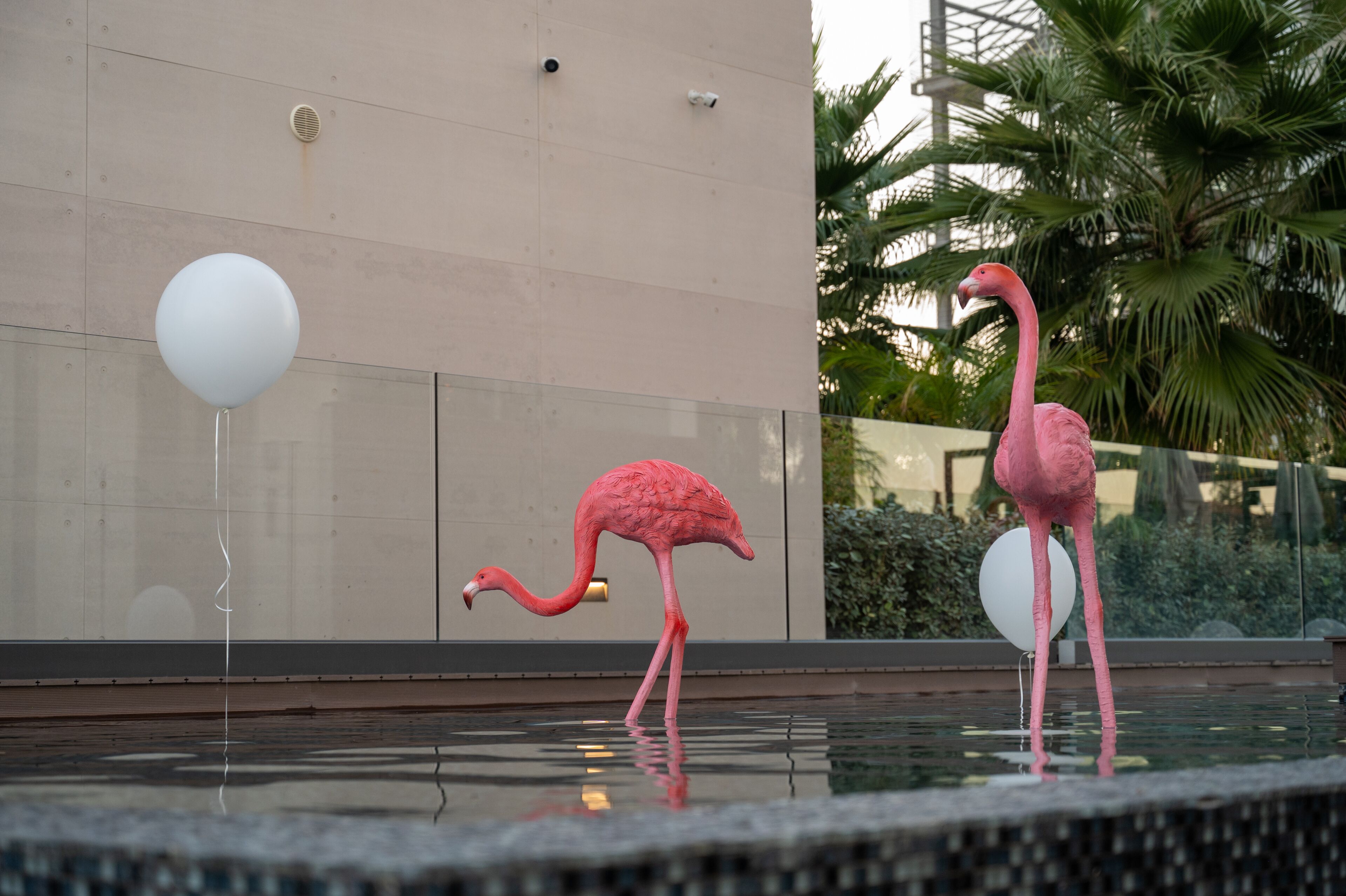 Foto - Mercure Larnaca Beach Resort