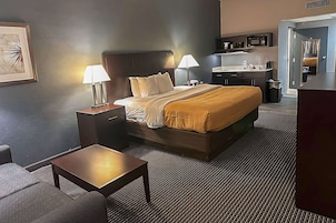 Room, 1 King Bed with Sofa bed, Non Smoking (Efficiency) | Free WiFi