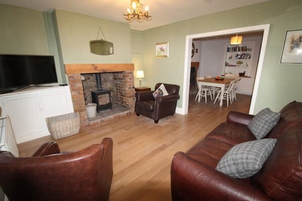 Smart TV, fireplace, books