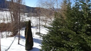 Un paysage enneigé avec des arbres et une montagne en arrière-plan.