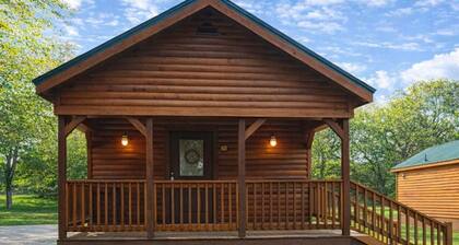 Beautiful Log cabin overlooking a meadow