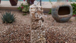 Un jardin de rocaille avec une formation rocheuse centrale entourée de gravier.