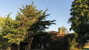 A house surrounded by large trees and a grassy yard.