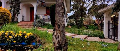 Áreas de la propiedad