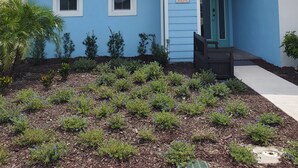 A two-story house with a blue exterior, a front porch, and a small garden with various plants and flowers. - Villa in Margaritaville-Near Disney-Universal-SeaWorld-H20 (Kissimmee)