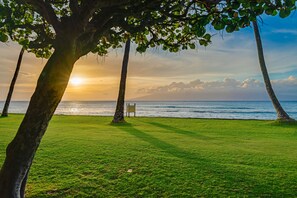 A grassy area with a sign and trees, overlooking a body of water. - Papakea L207 Ocean Front 1 Bedroom 1 Condo by RedAwning (Lahaina)