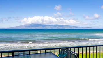 Condo, 1 quarto | Área da propriedade