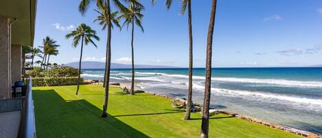 Condo, 1 Bedroom | Property grounds