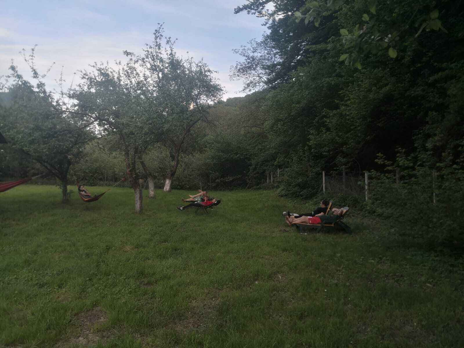 Una zona erbosa all'aperto con alberi e un'amaca.