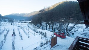 Een besneeuwd landschap met een rode auto op een weg, omringd door kale bomen en een hek.