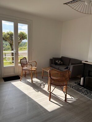 Télévision, cheminée, jeux vidéo, lecteur de DVD