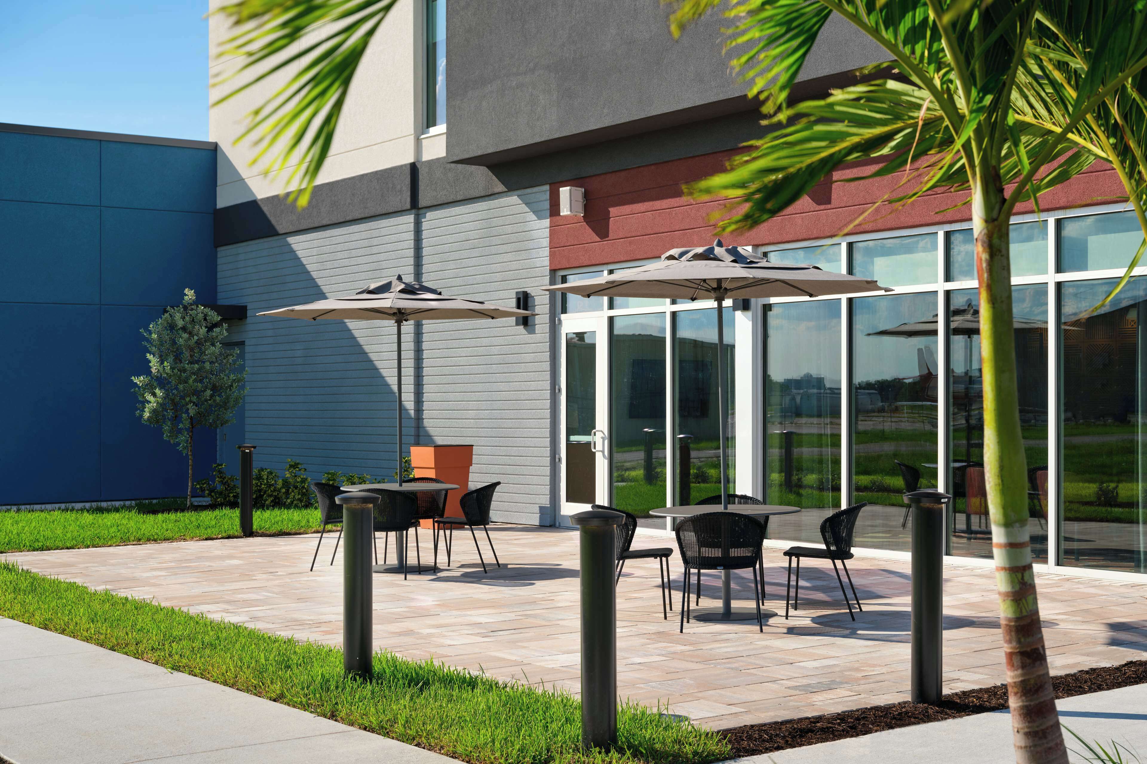 An outdoor patio area with tables and chairs, a palm tree, and a building with large windows.