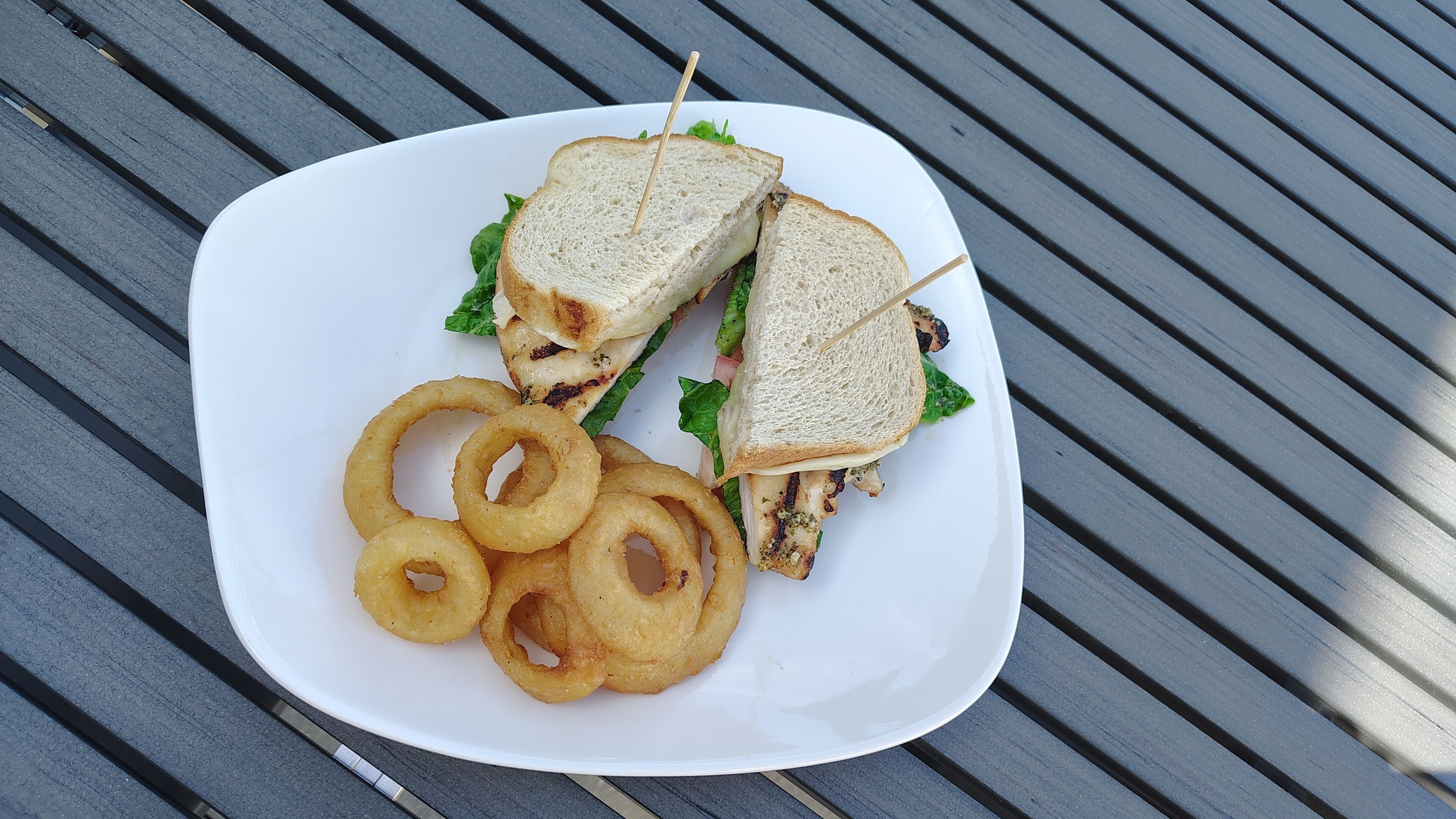 A white plate with a grilled sandwich and onion rings on a metal table.