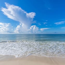On the beach