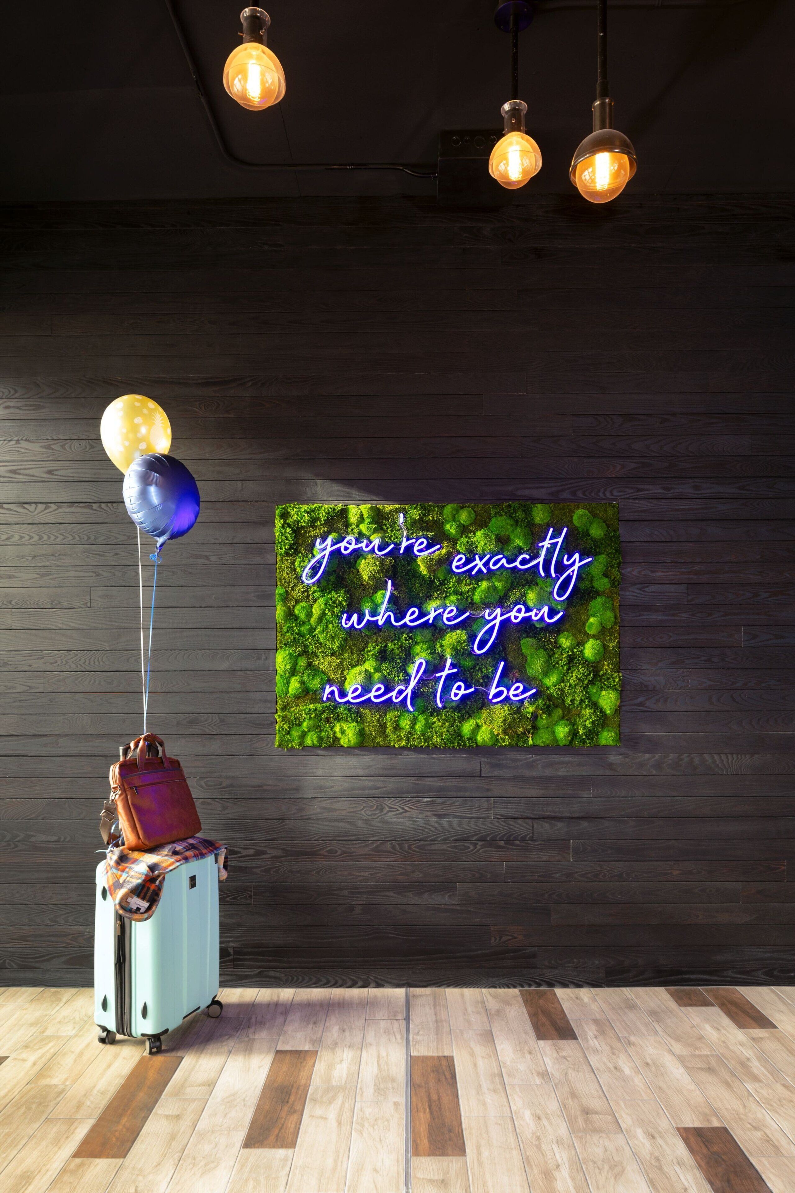 Photo - Moxy Halifax Downtown