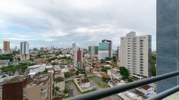 City view from property