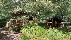 Eine rustikale Holzhütte, umgeben von dichtem Wald.