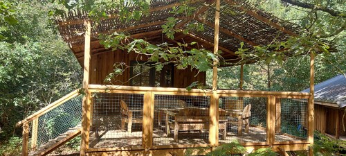 Cap Town cabin in the forest