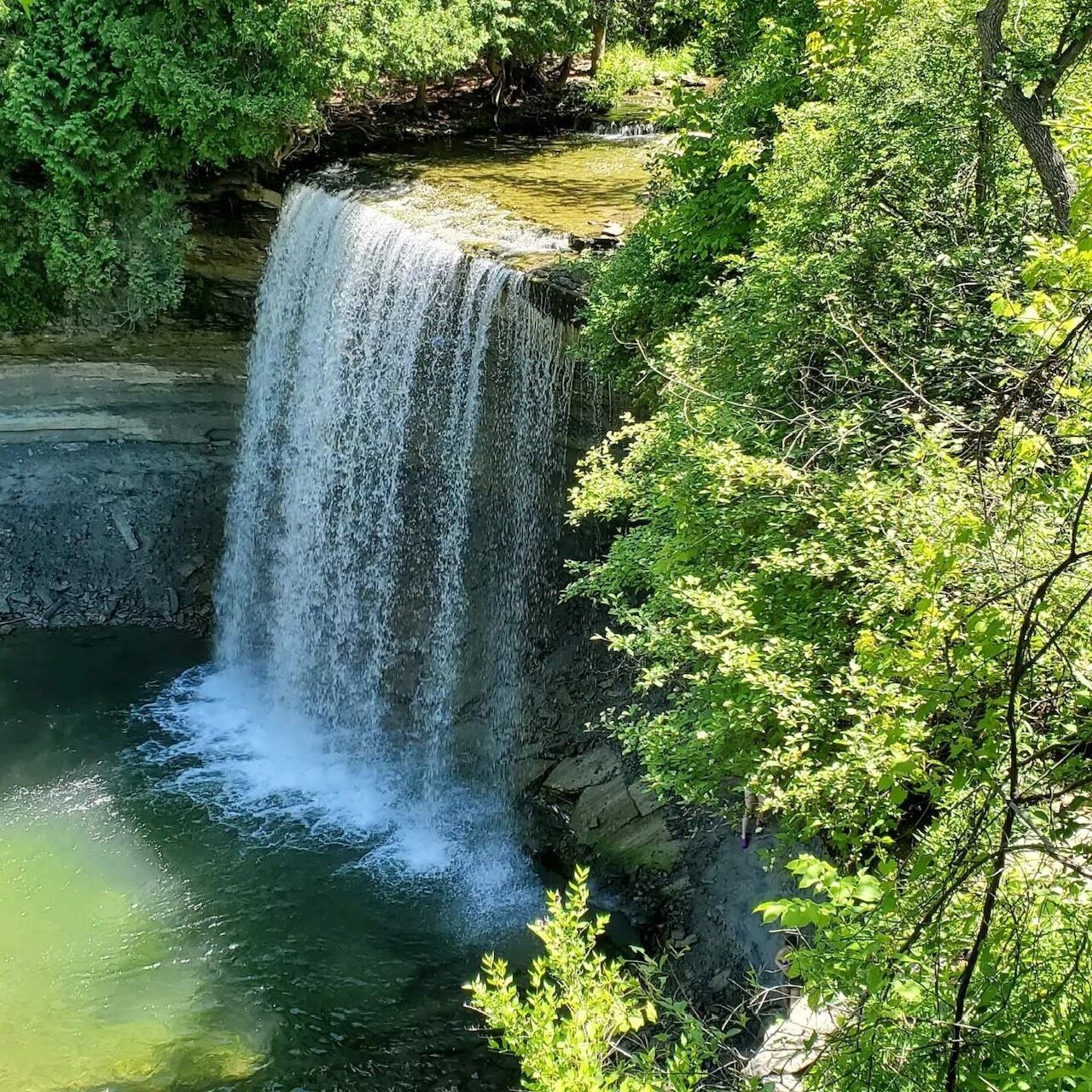 A waterfall cascading into a pool surrounded by lush greenery.