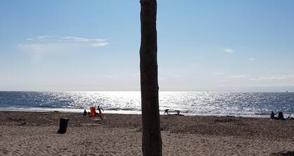 Vacation cottage Zijper 24