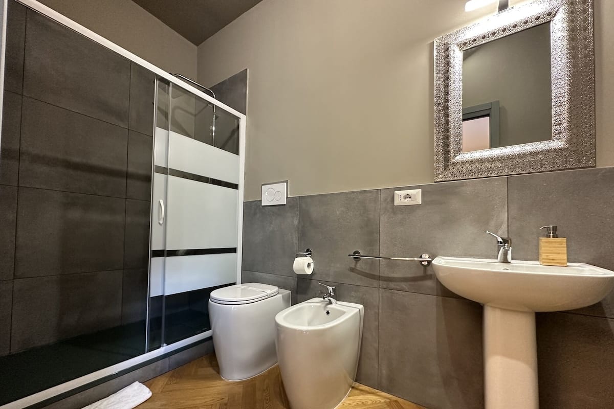 Shower, hair dryer, bathrobes, bidet