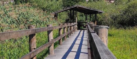 Apartment, 1 Queen Bed with Sofa bed | Property grounds