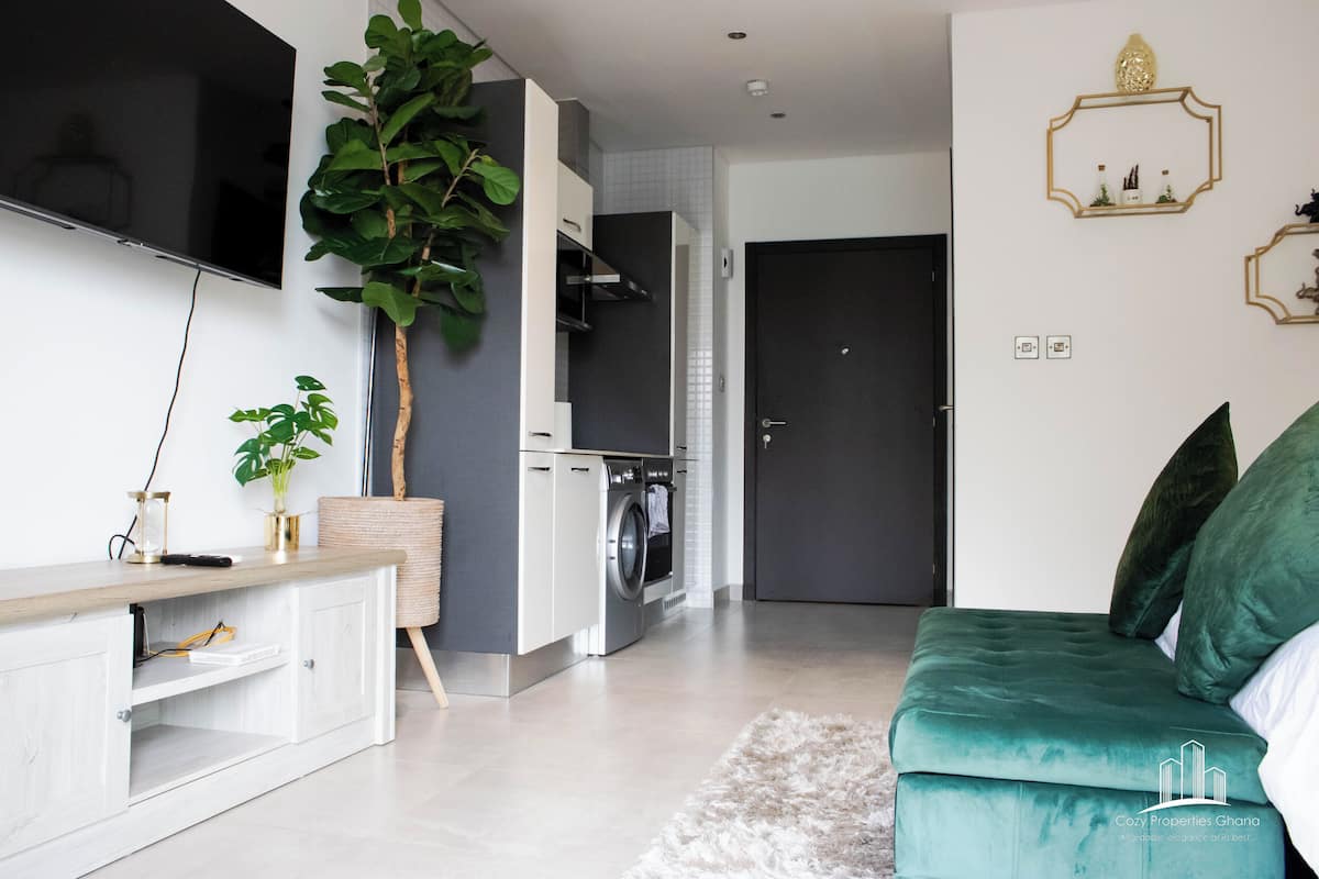 Una sala de estar moderna con un sofá, un televisor, una planta y una zona de cocina con lavadora.