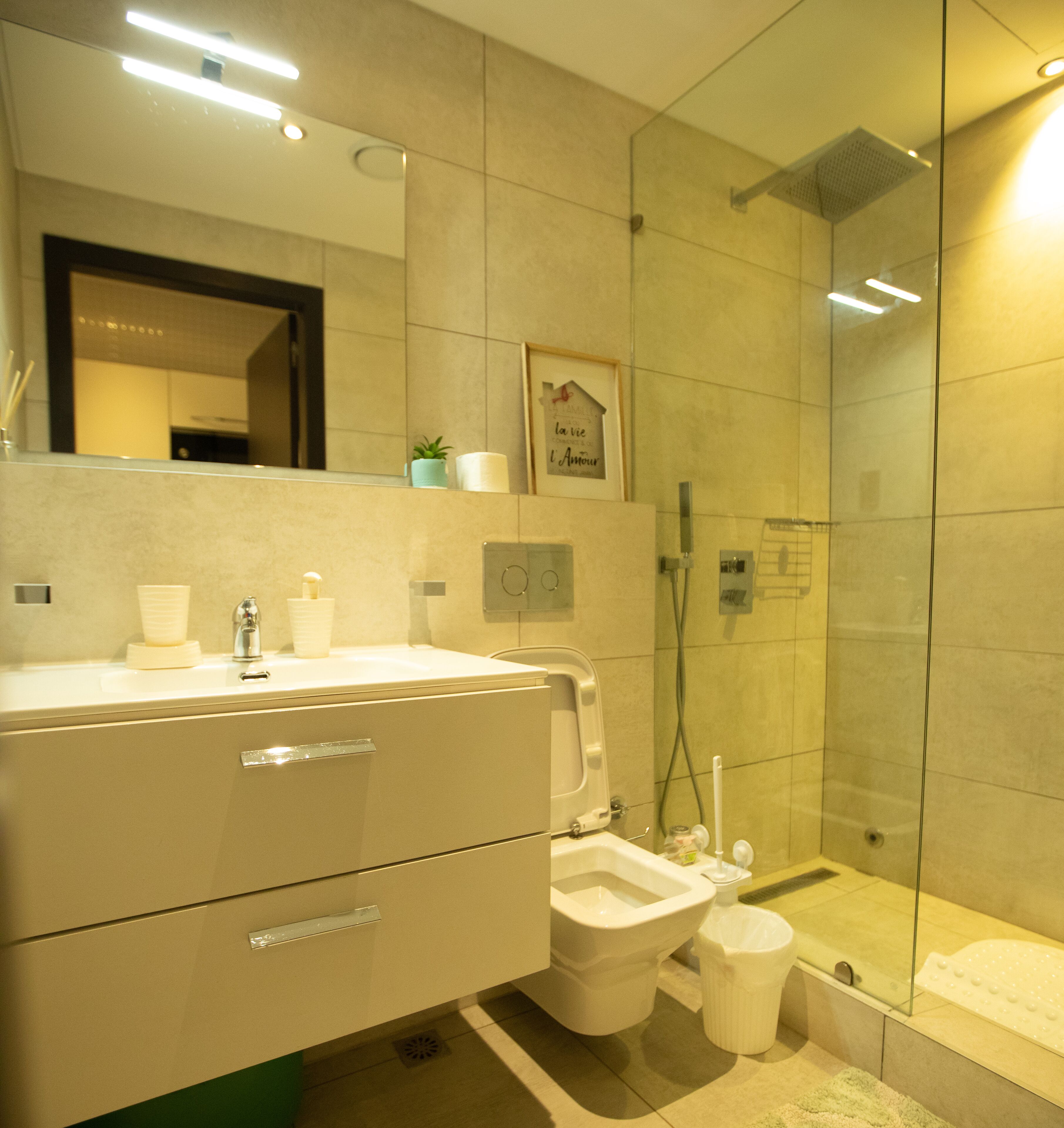 Une salle de bain moderne avec une douche à l’italienne en verre, un lavabo blanc avec un miroir au-dessus, et une petite plante en pot posée sur le comptoir.