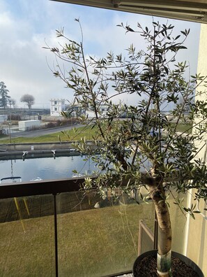 A potted tree on a balcony with a view of a body of water and buildings in the background.