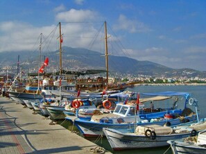 Miscellaneous - Private Pool & Jacuzzi Bliss: Family Escape 1005 (Alanya)